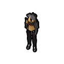3523.png